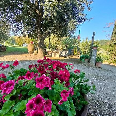 Azienda Agricola Polveraia 산지미냐노 외부 사진