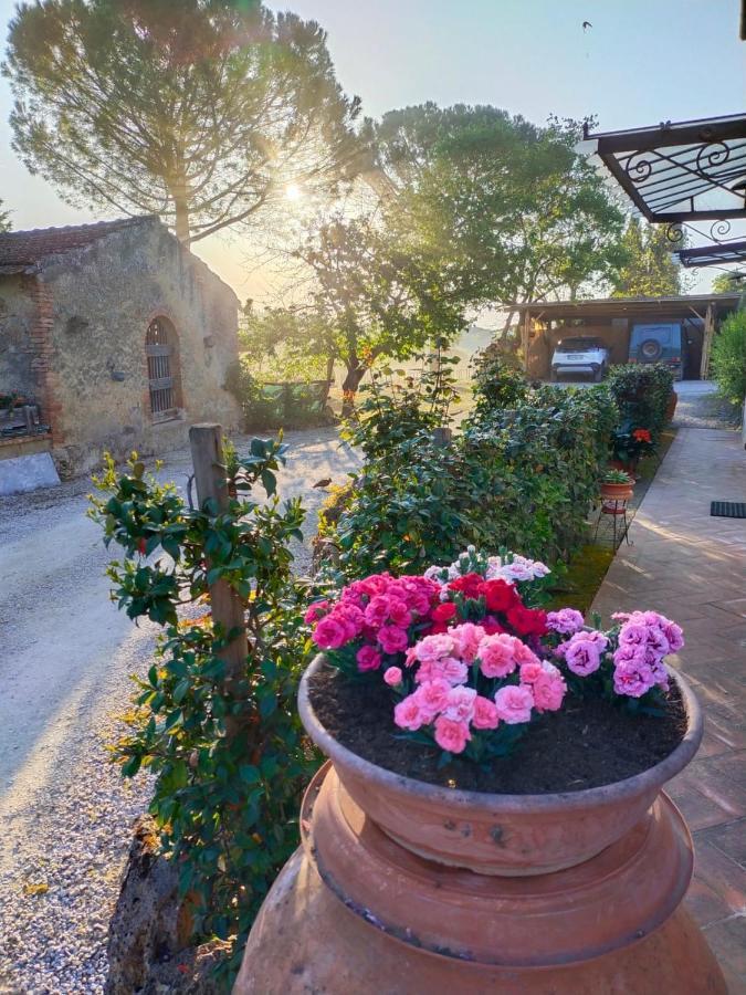 Azienda Agricola Polveraia 산지미냐노 외부 사진