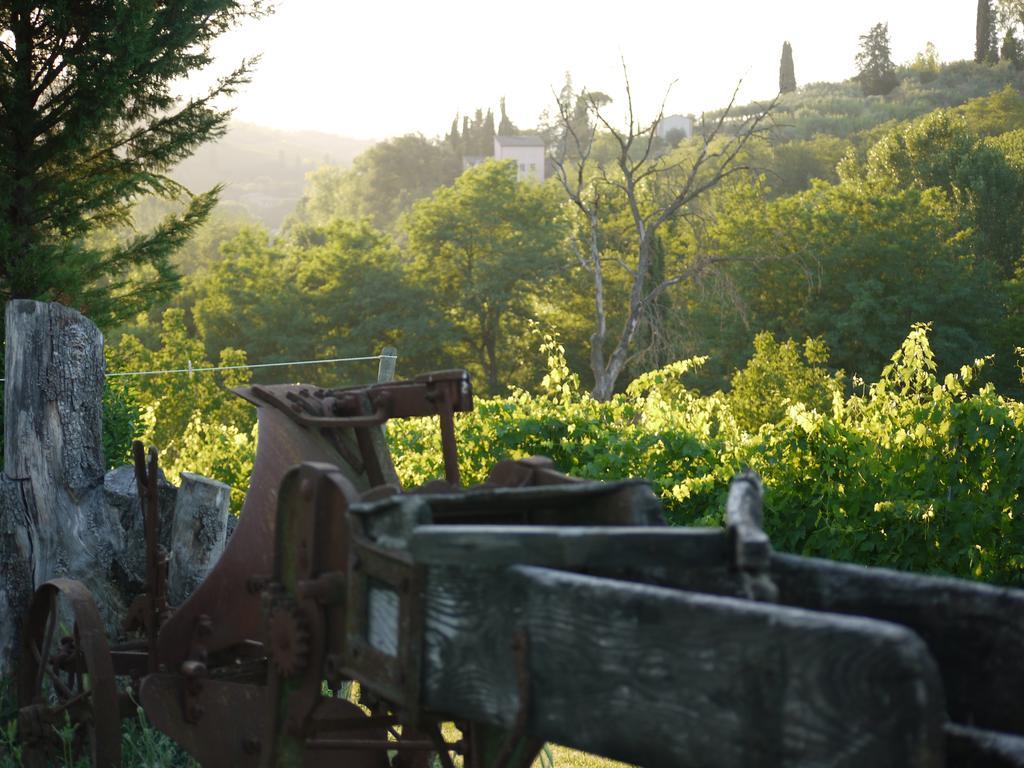 Azienda Agricola Polveraia 산지미냐노 외부 사진