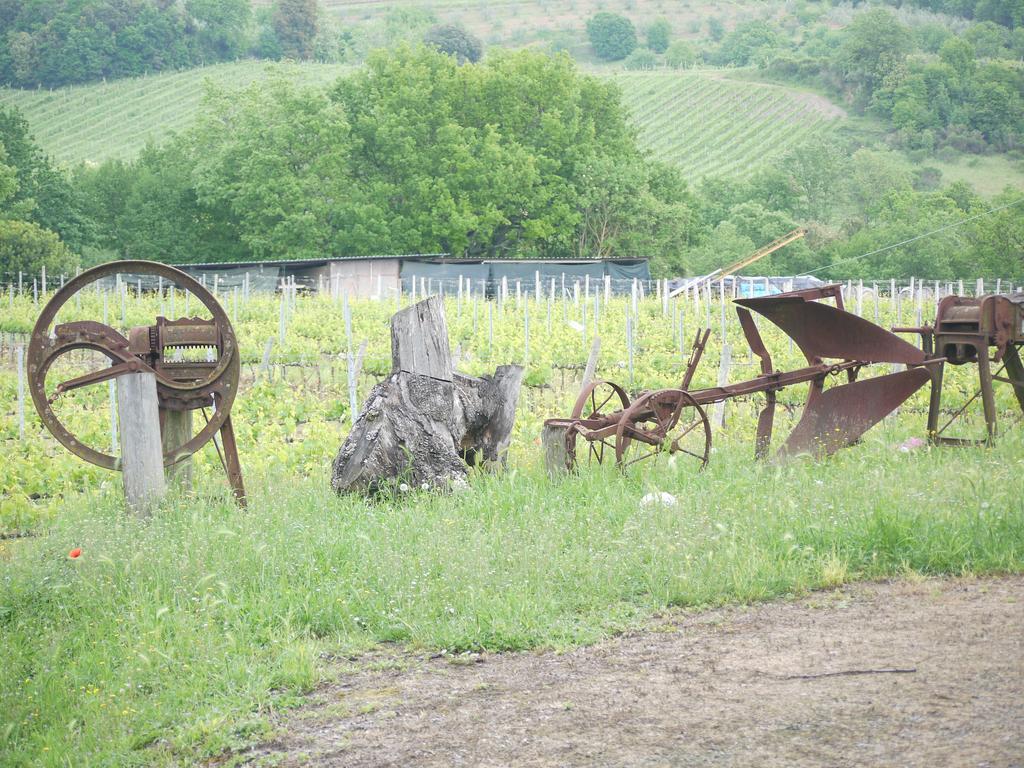 Azienda Agricola Polveraia 산지미냐노 외부 사진