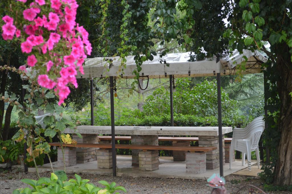 Azienda Agricola Polveraia 산지미냐노 외부 사진