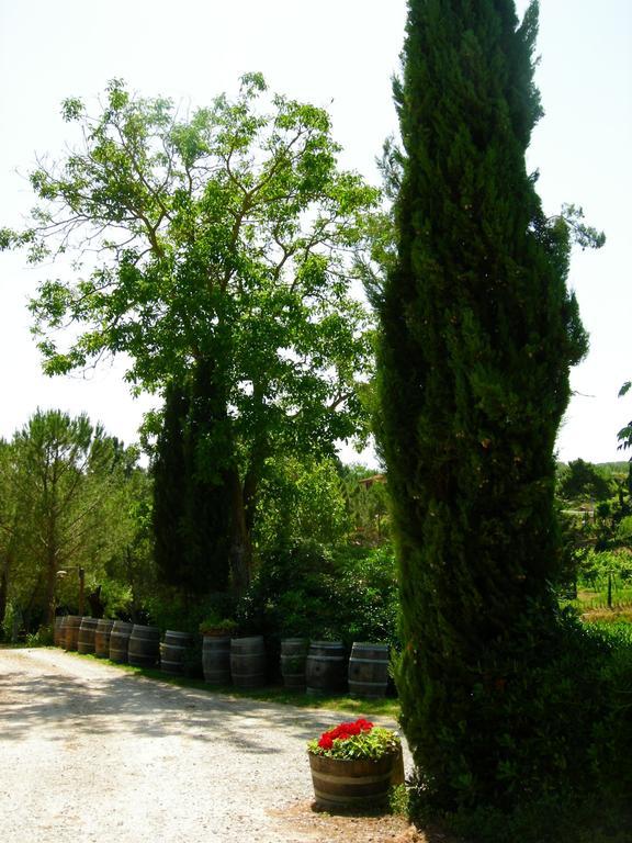 Azienda Agricola Polveraia 산지미냐노 외부 사진