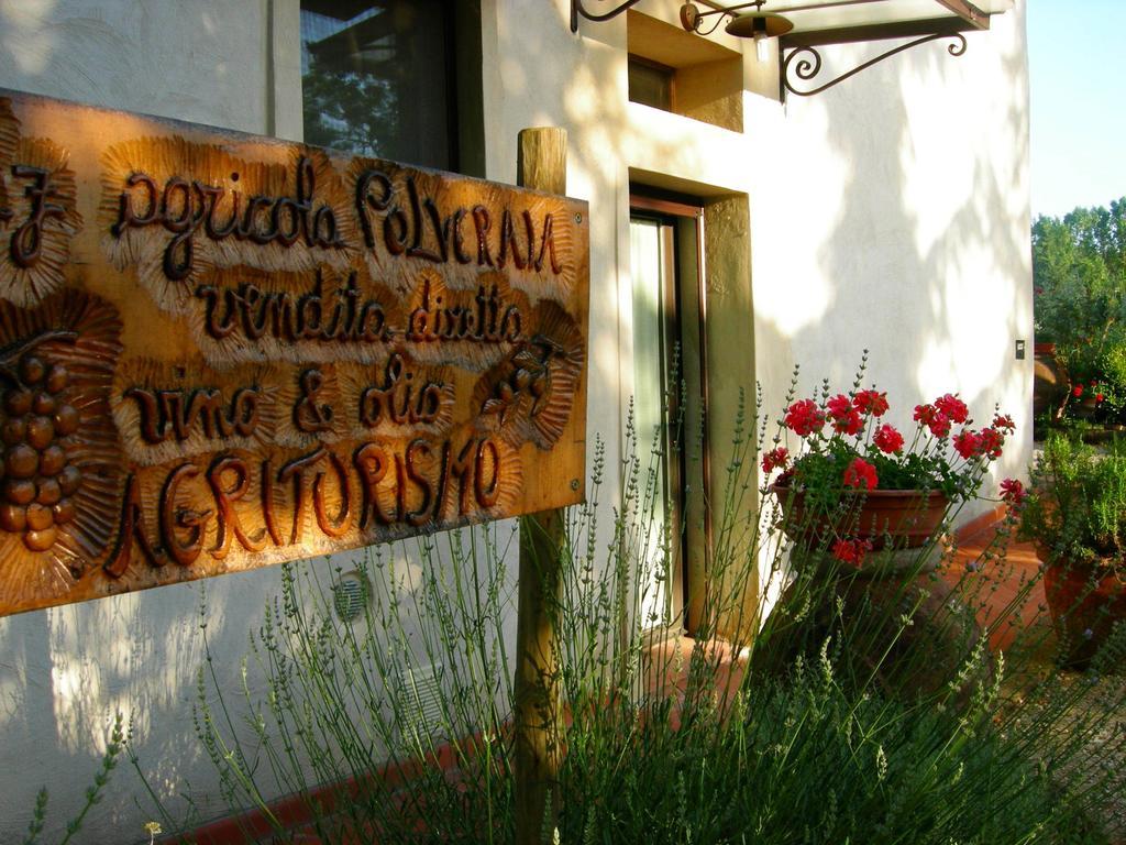 Azienda Agricola Polveraia 산지미냐노 외부 사진