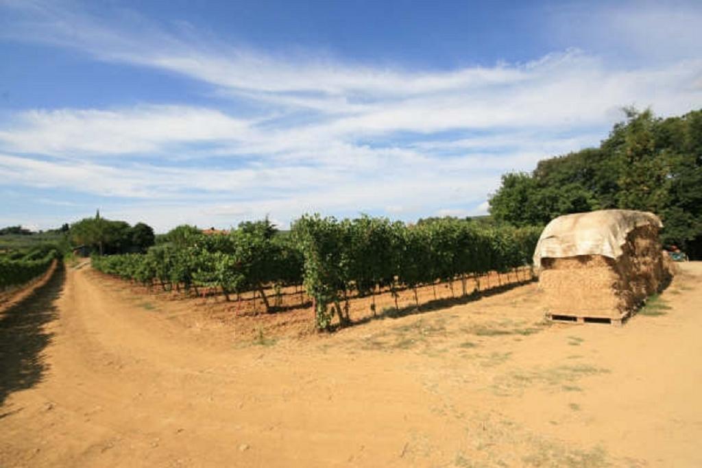 Azienda Agricola Polveraia 산지미냐노 외부 사진