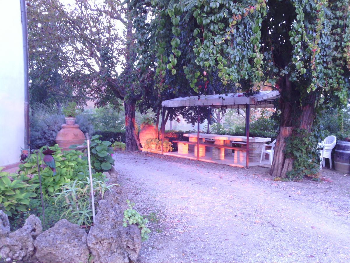 Azienda Agricola Polveraia 산지미냐노 외부 사진